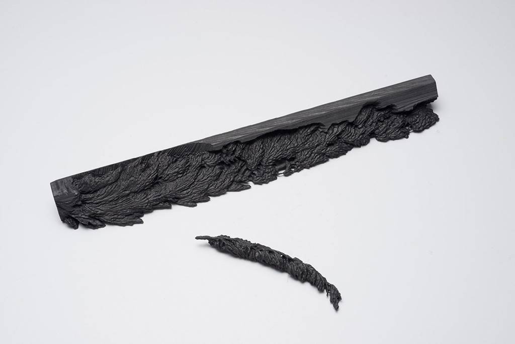 04_AndreanneGodin_ThujaOccidentalis_2015