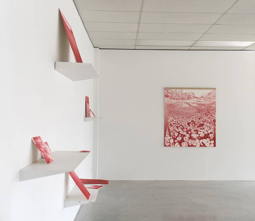 07_AndreanneGodin_ThePathsOfResistance_2017