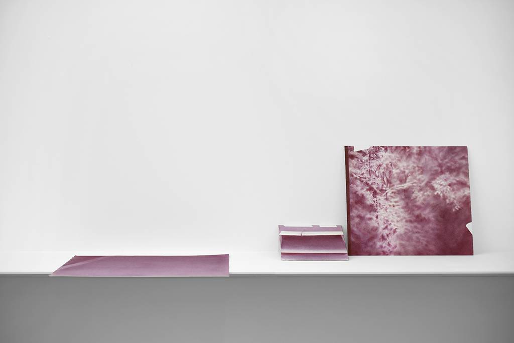 08_AndreanneGodin_UnePromenadeAvecPierre_2016-17