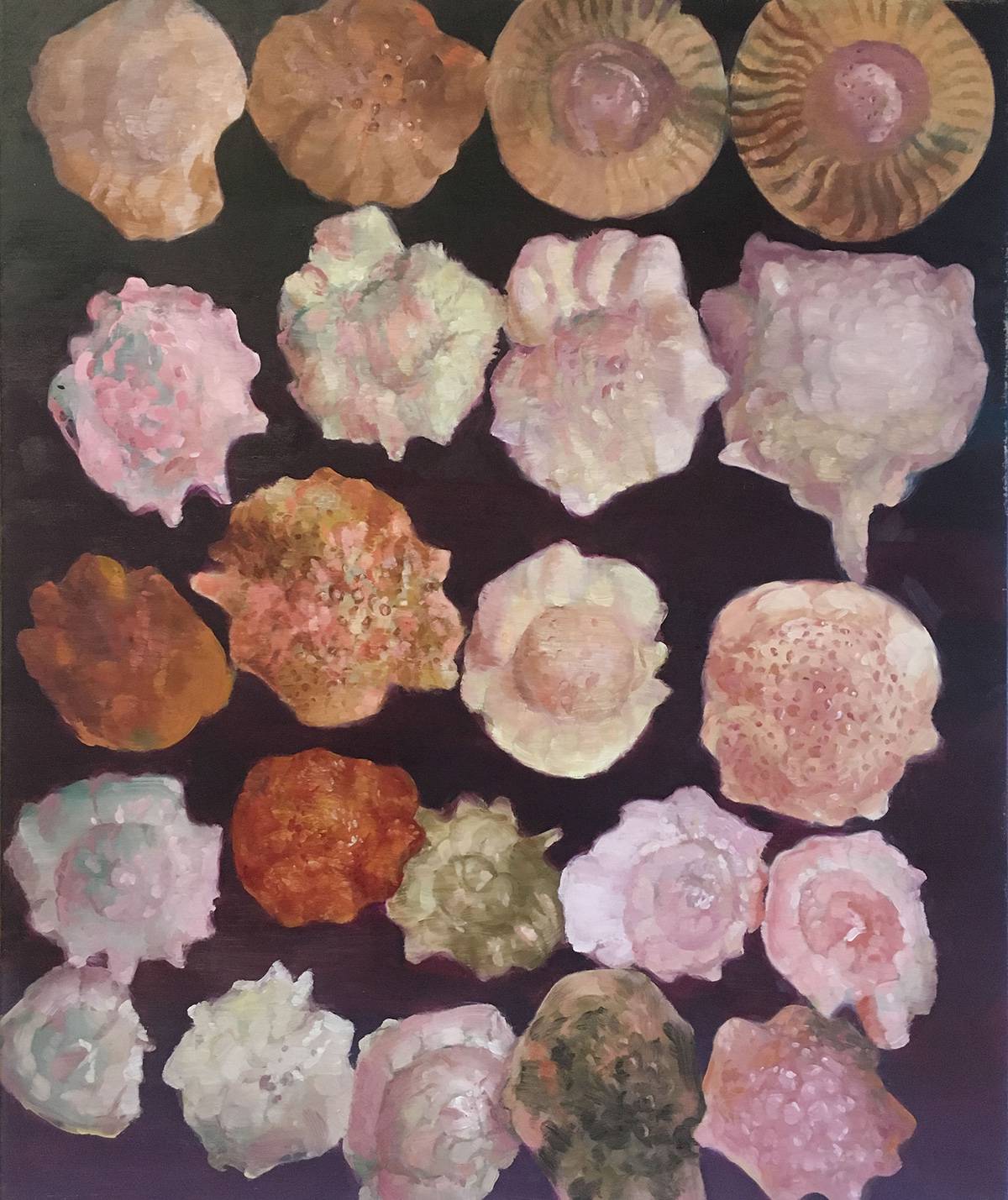 15.-Foraminifera-2017