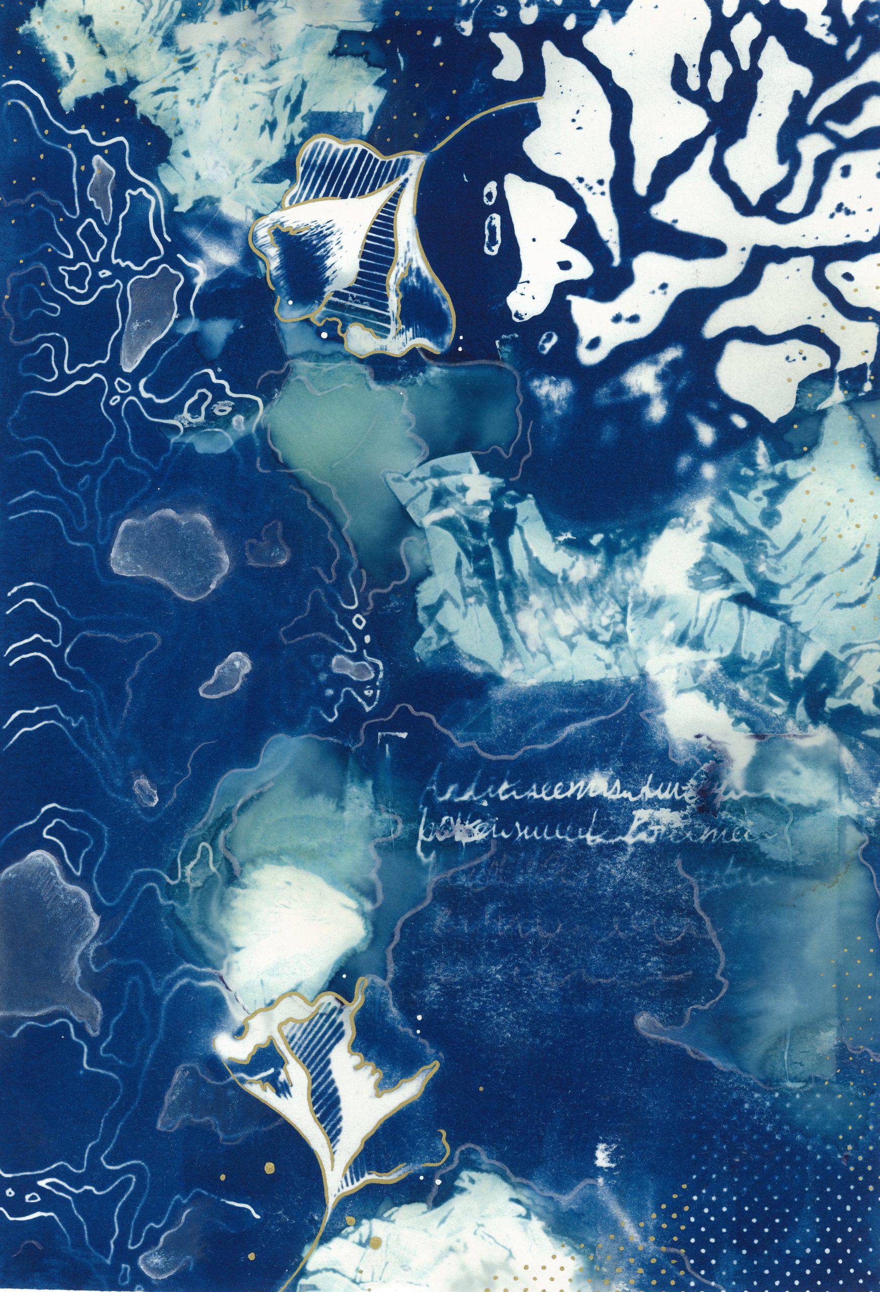 Cyanotype1_JudeIbrahim-scaled