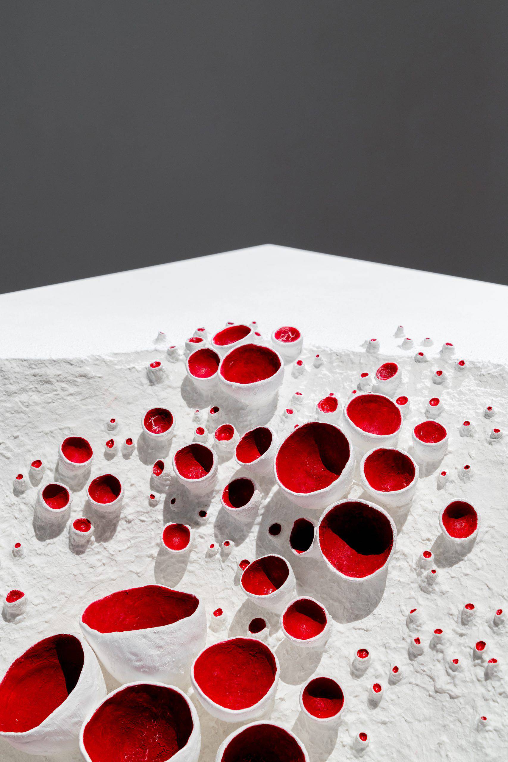 Marie-Ève Martel, Hétérotrophie rouge (detail), 2017. Image courtesy of Jean Michael Seminaro.