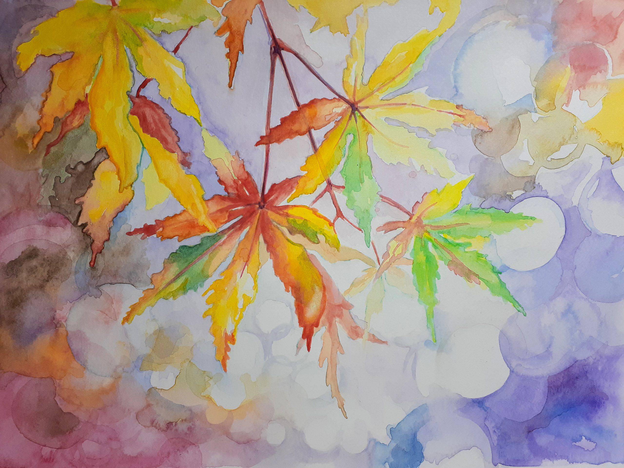 20201019_194318-scaled