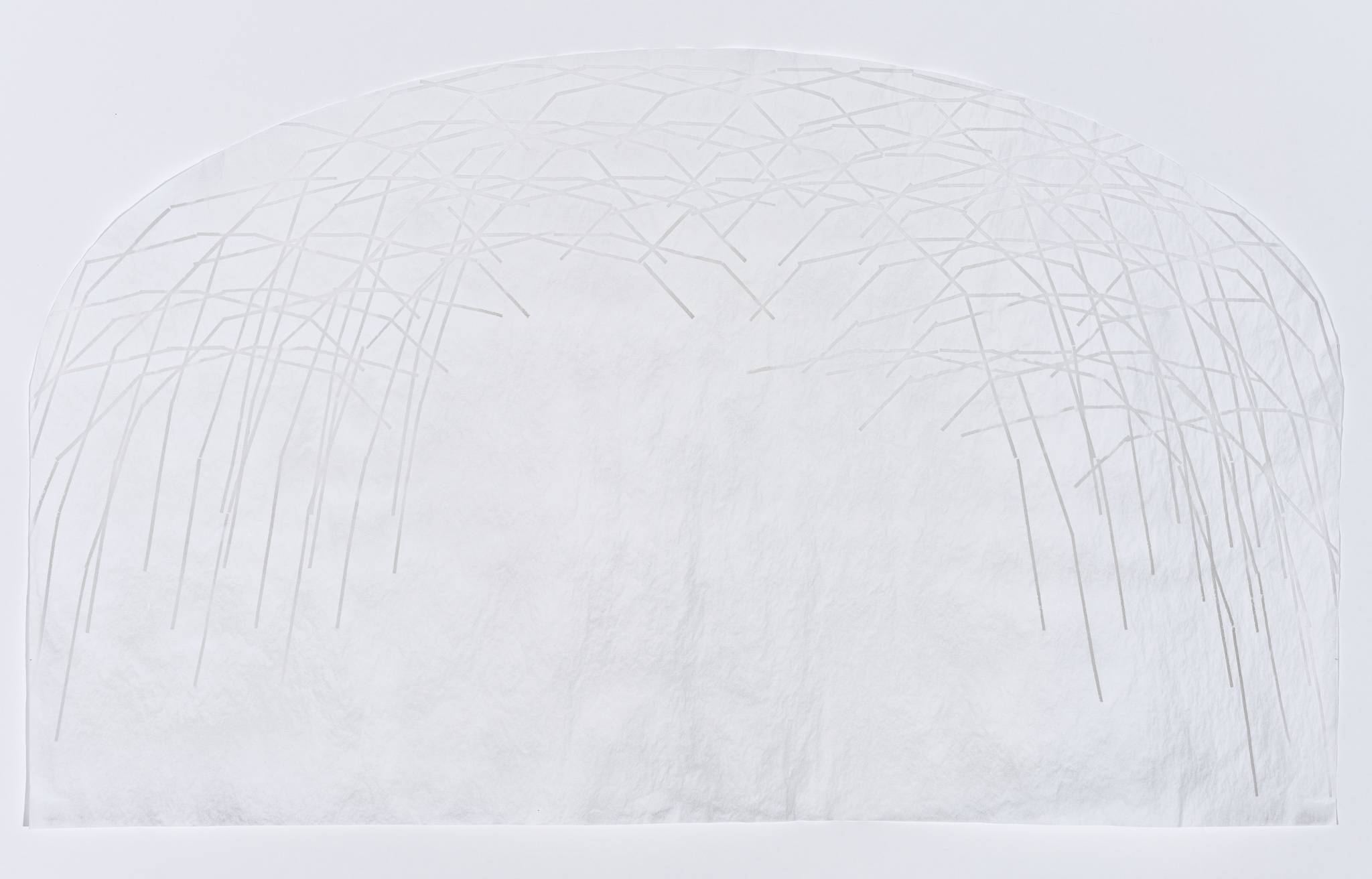 Nikki Middlemiss Elevate