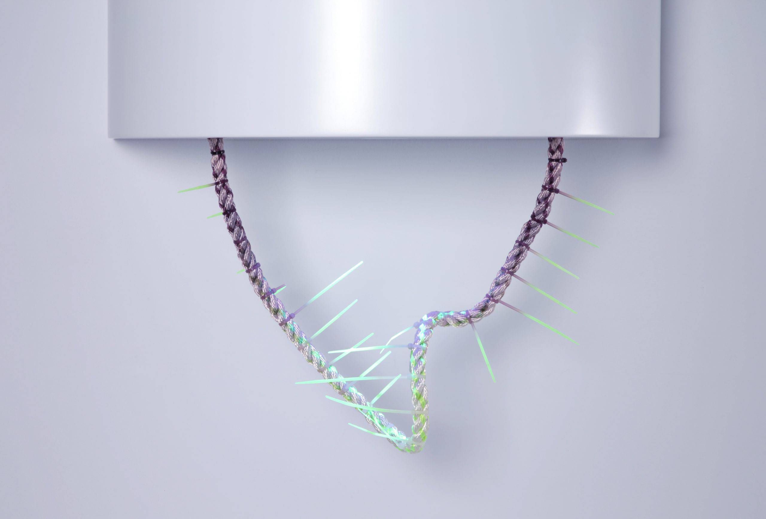 Elisabeth Picard Hylozoïsme