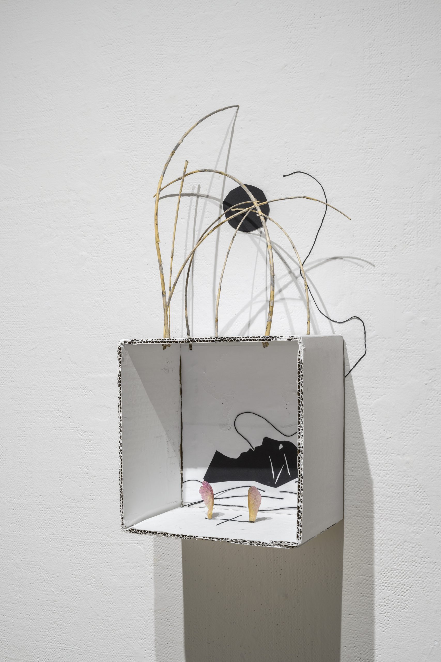 GLV08660_Photo-Guy-LHeureux-scaled