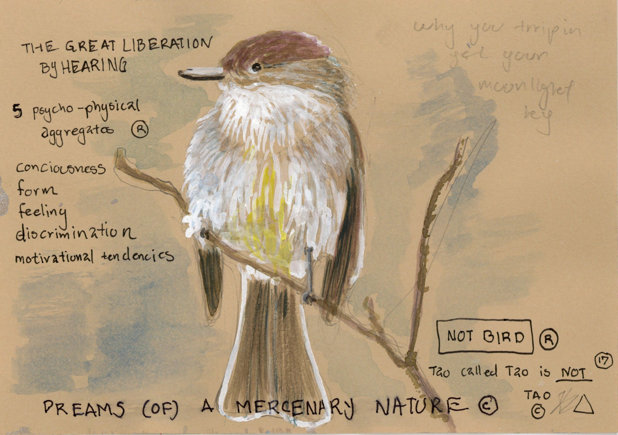 Practice-Brightness-_-Goauche