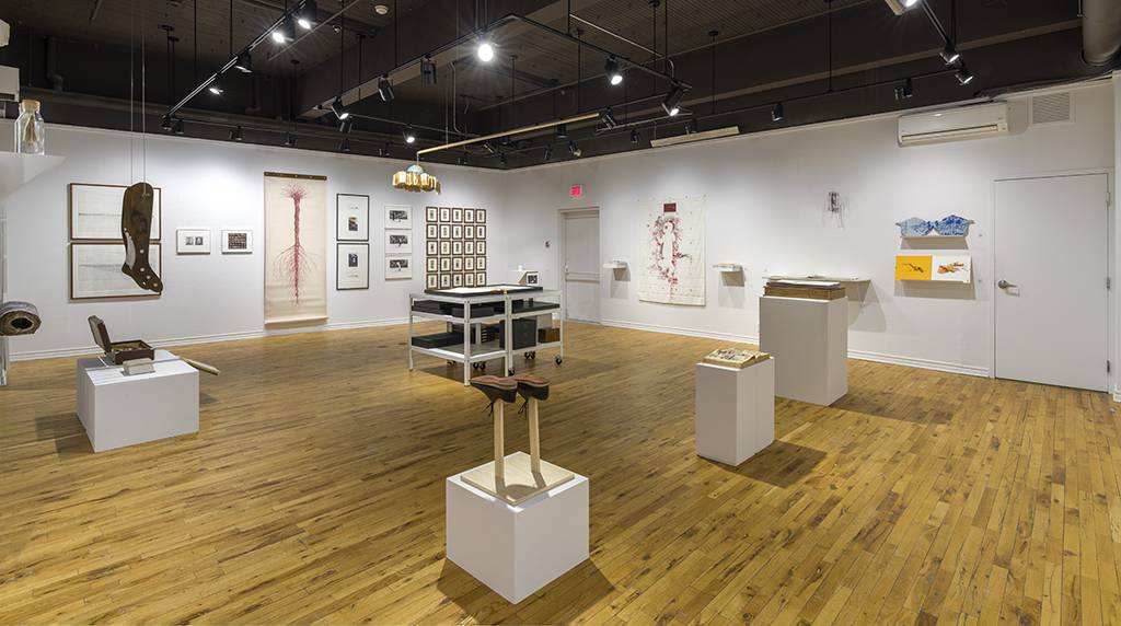 DSC08030_Photo-Guy-LHeureux