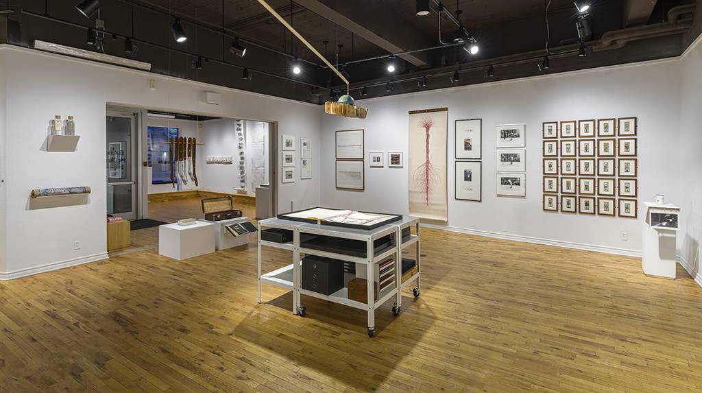 DSC08031_Photo-Guy-LHeureux