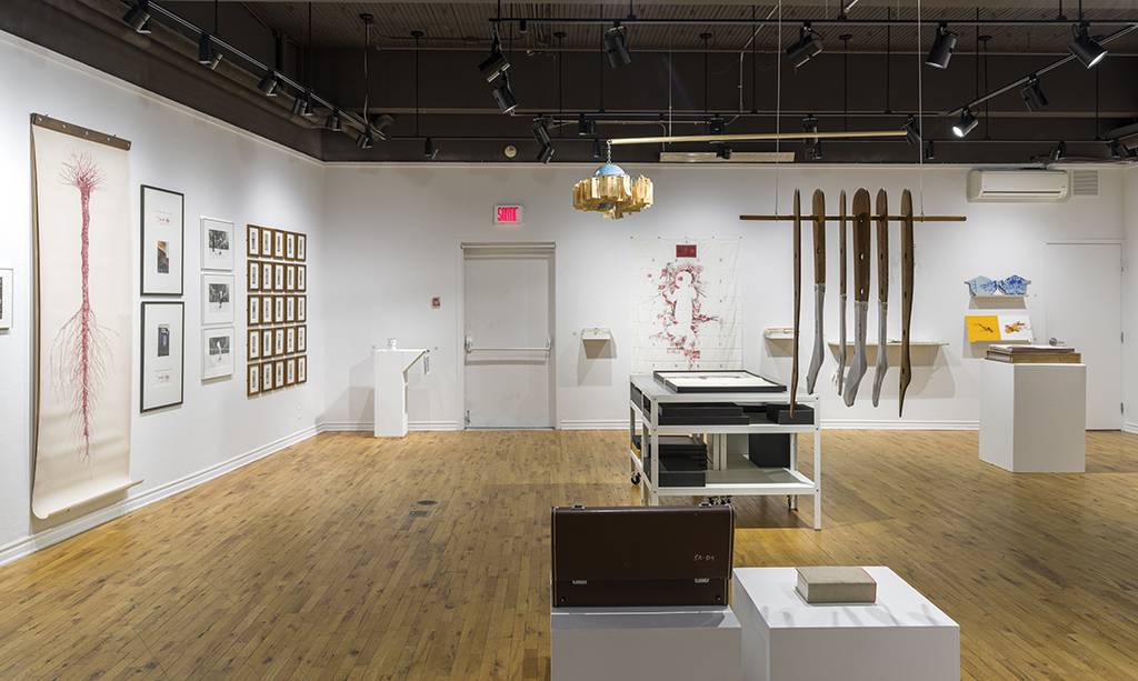 DSC08054_Photo-Guy-LHeureux