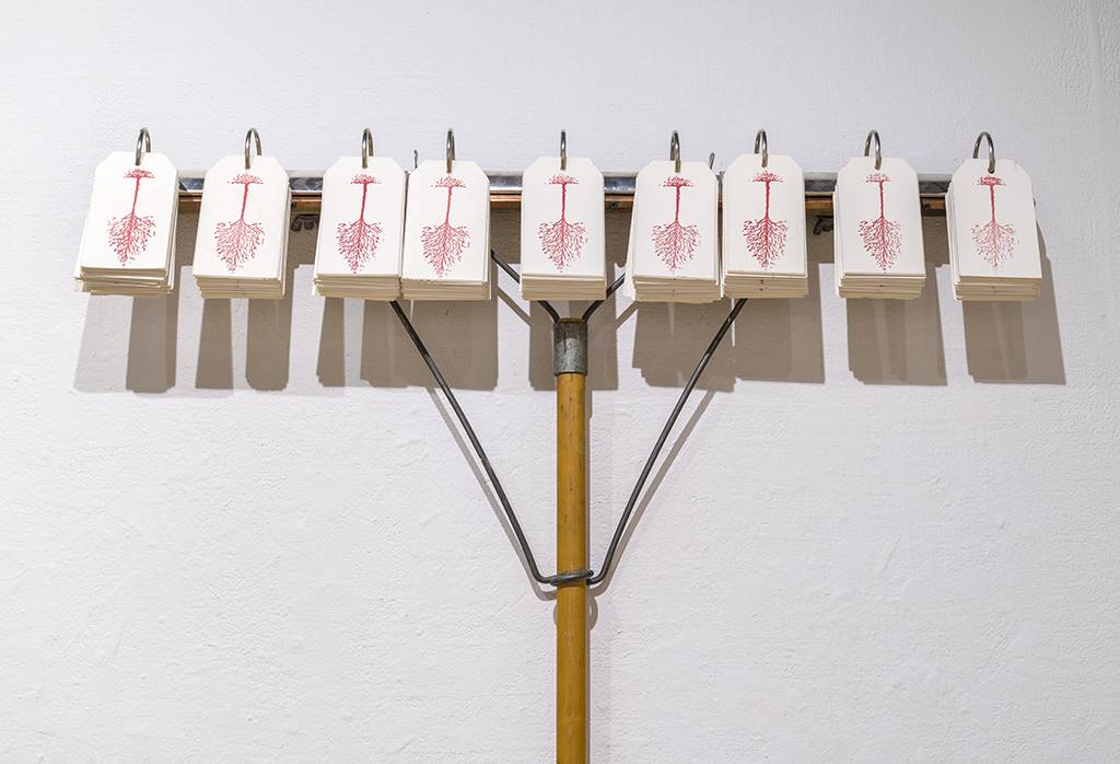 DSC08064_Photo-Guy-LHeureux