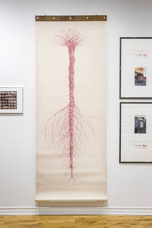 DSC08094_Photo-Guy-LHeureux