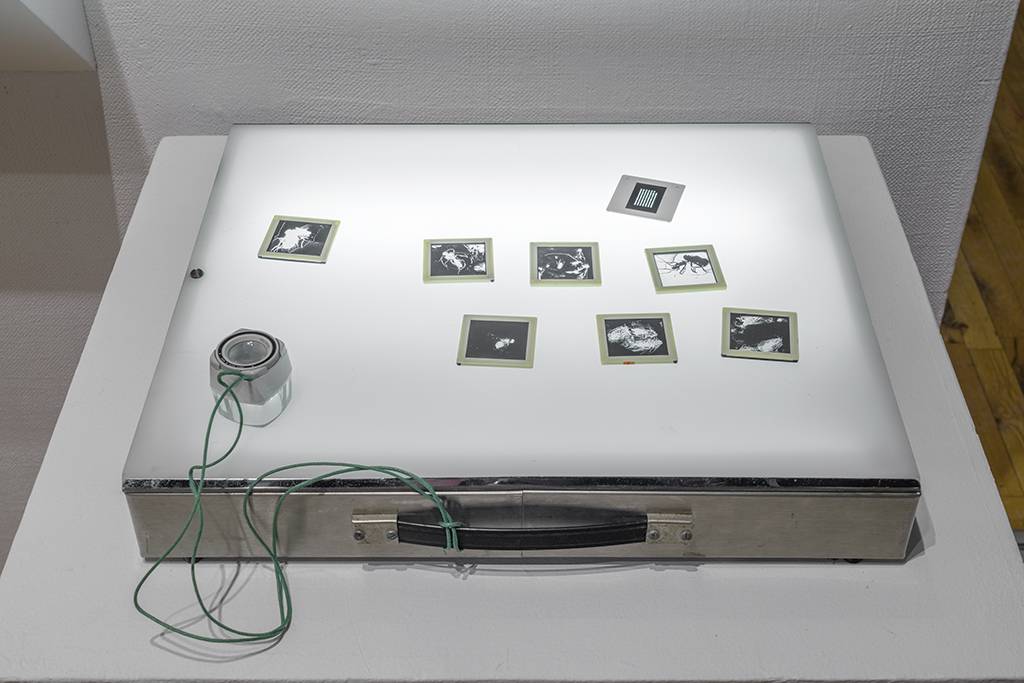 DSC08101-HDR_Photo-Guy-LHeureux