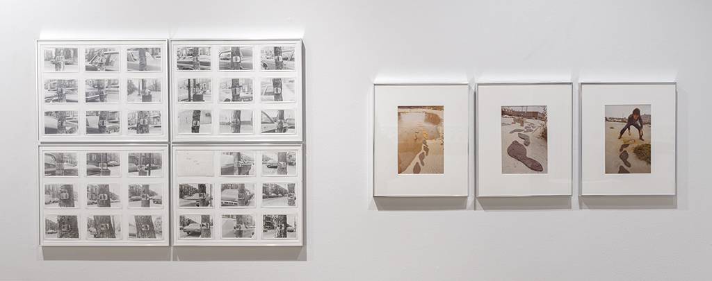 DSC08113_Photo-Guy-LHeureux