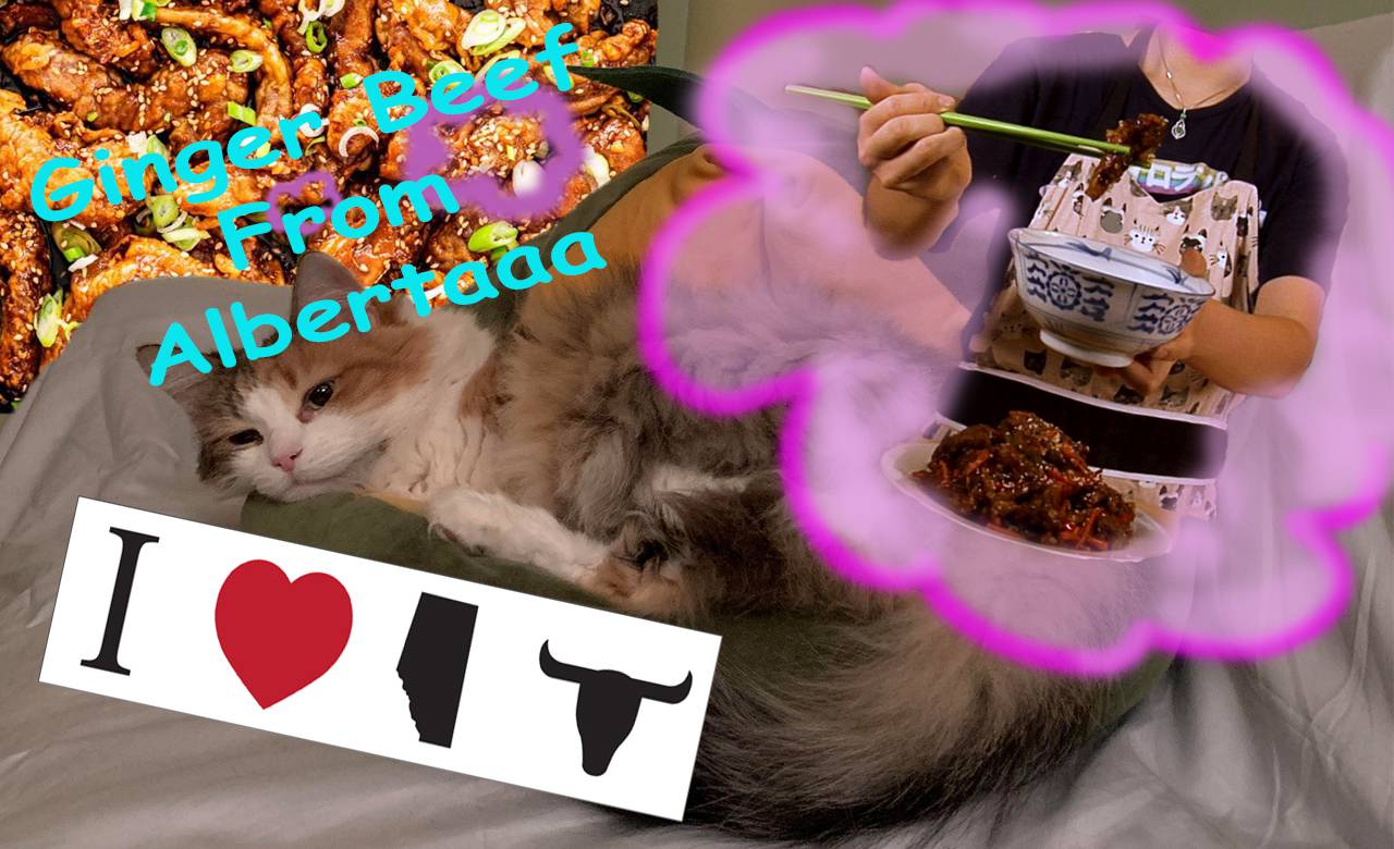 01swjc2020sobascorner