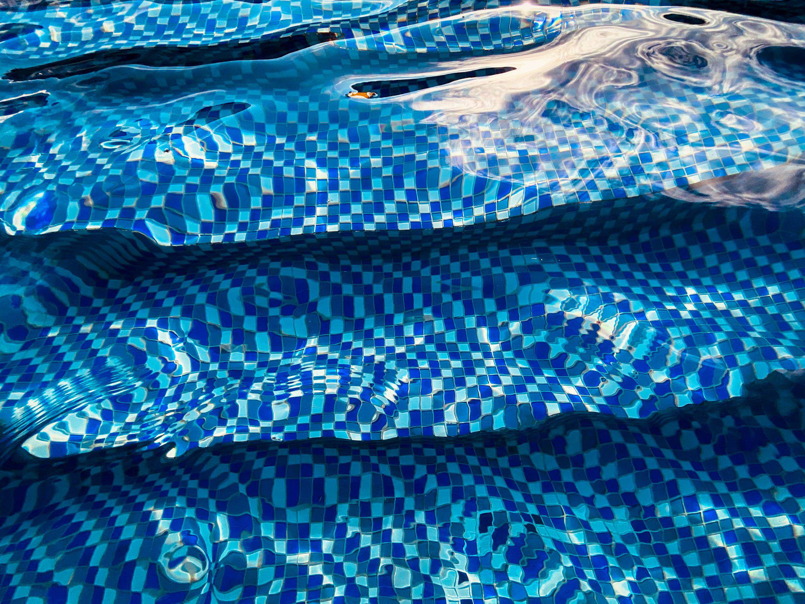 889DF705-5001-478E-9932-A0BF8BEBD83F