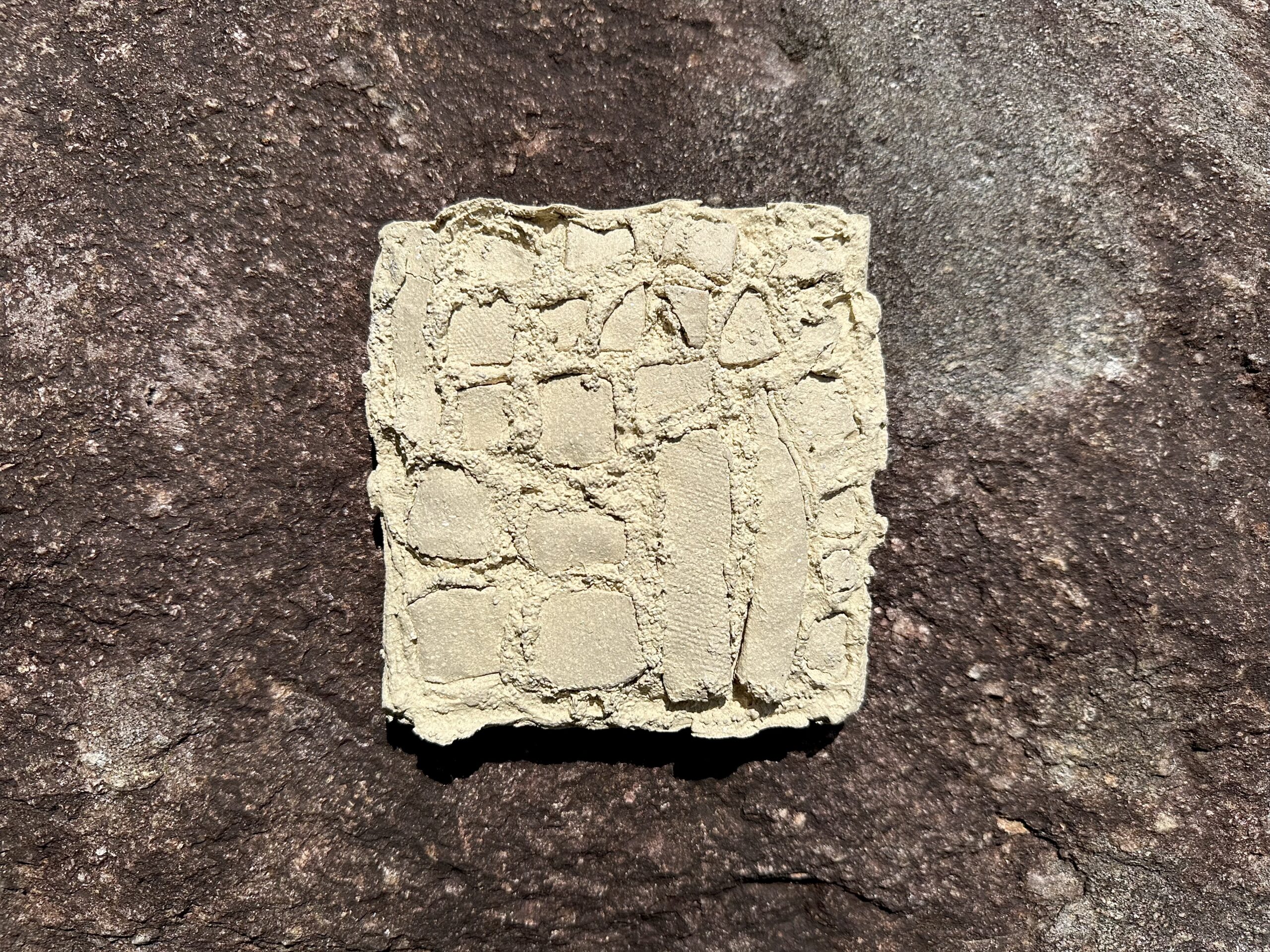 01_TaraDougans_Quartet-scaled