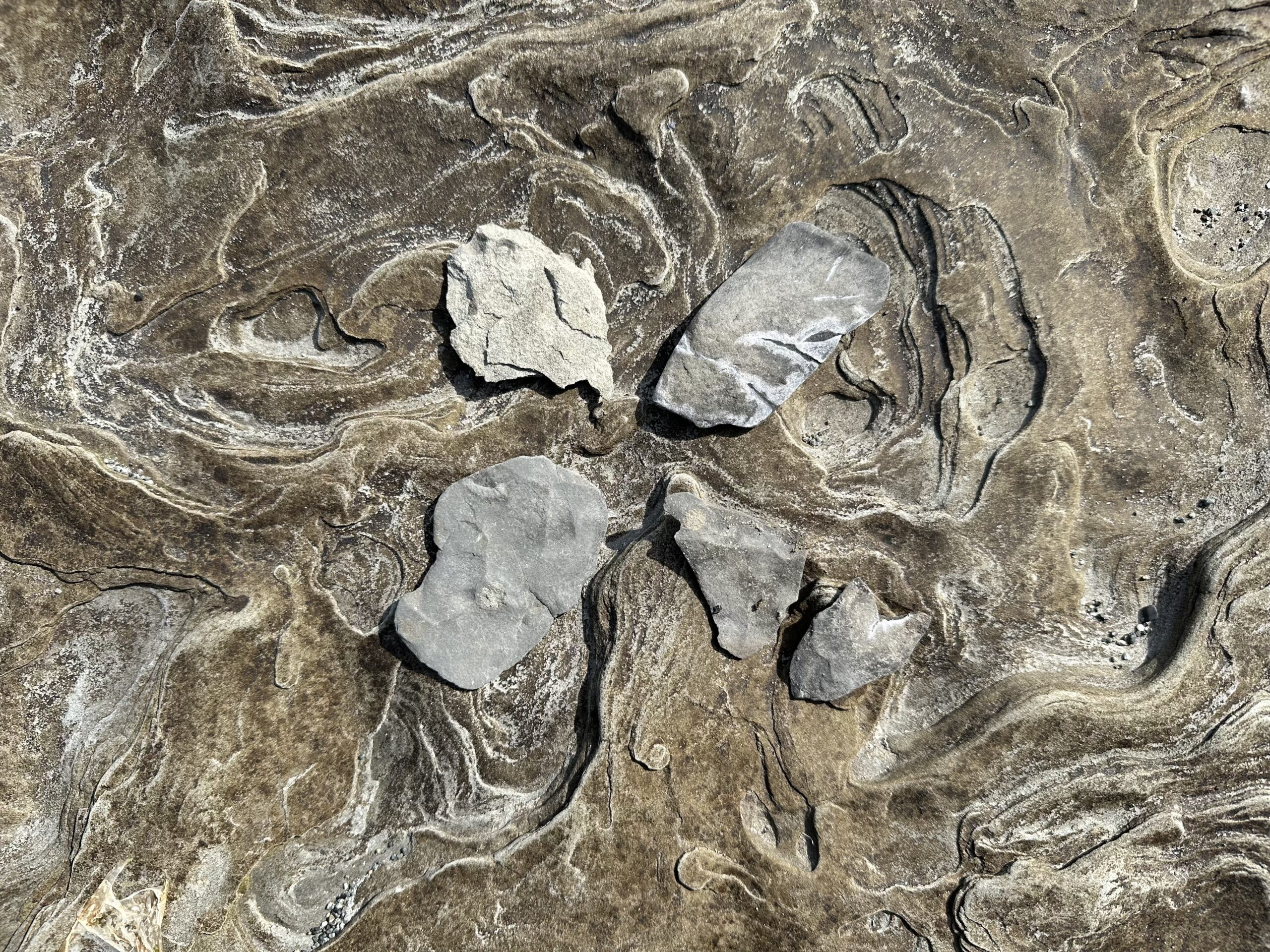 07_TaraDougans_Clover-scaled