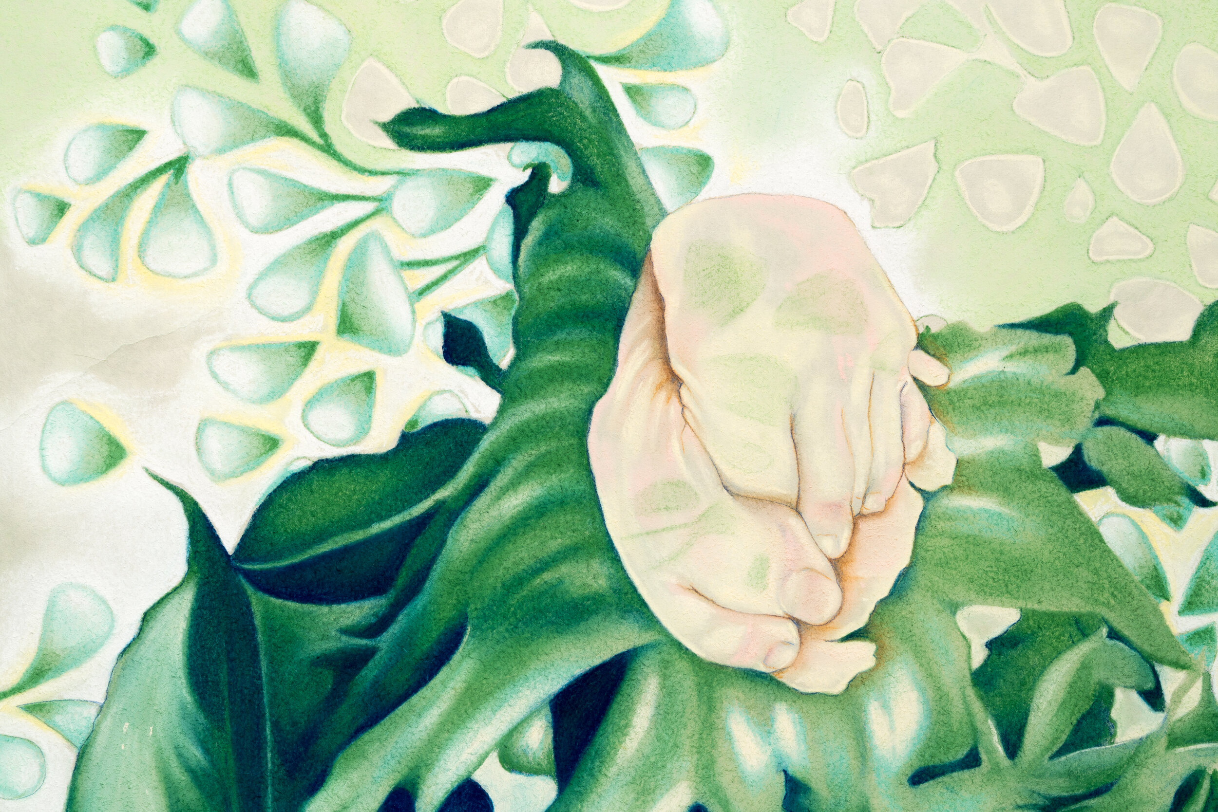 image1_virginie_fillion