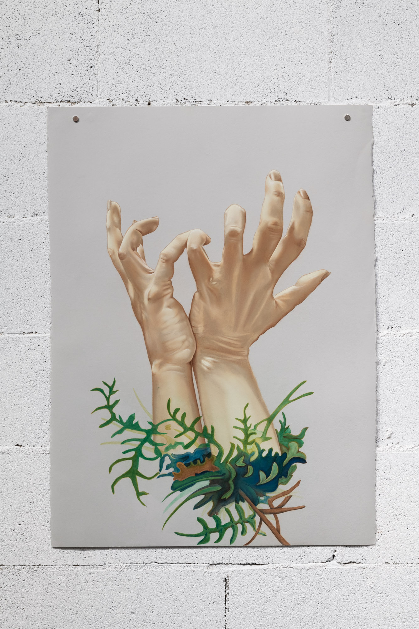 image5_virginie_fillion