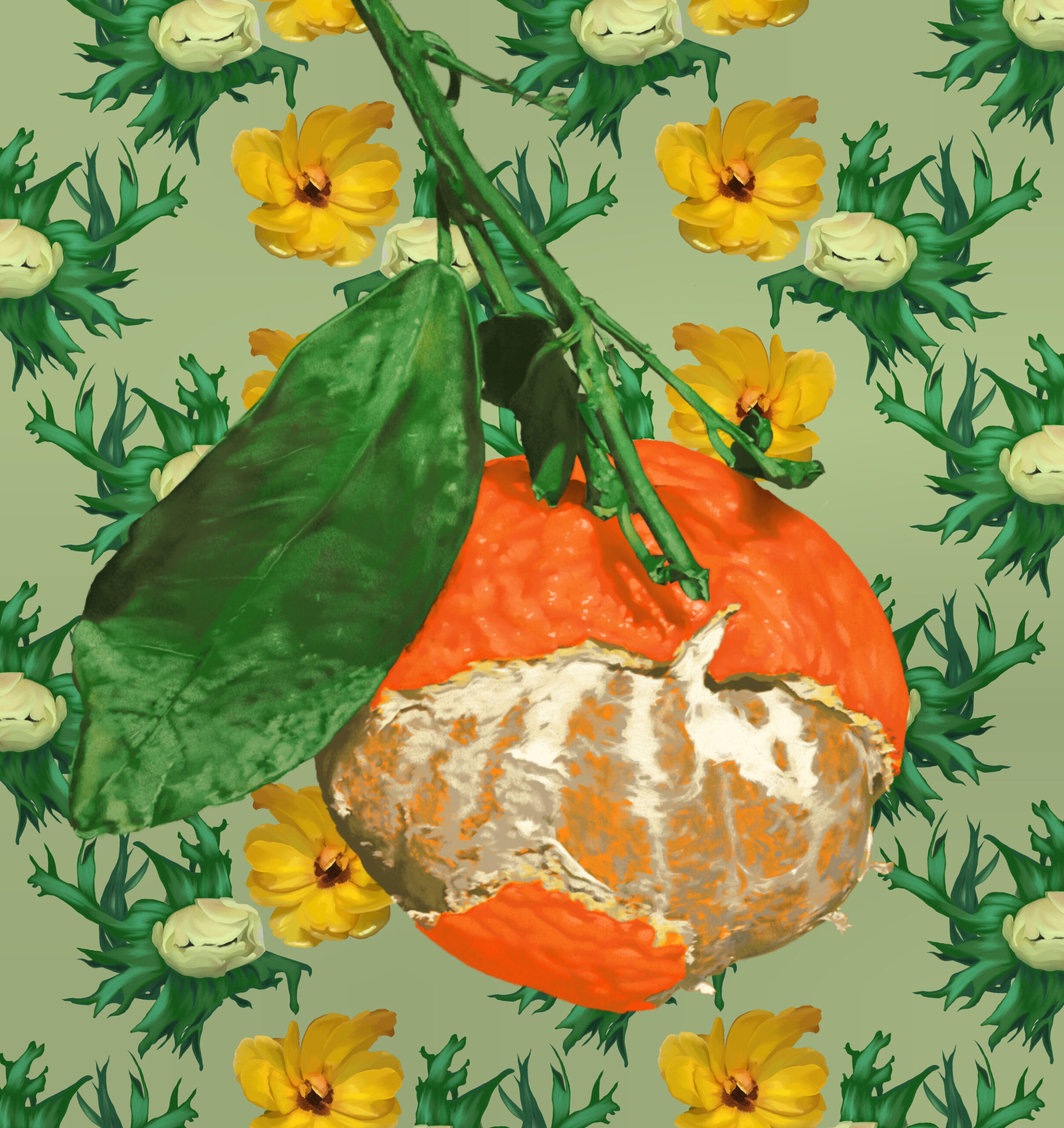 image6_virginie_fillion-scaled